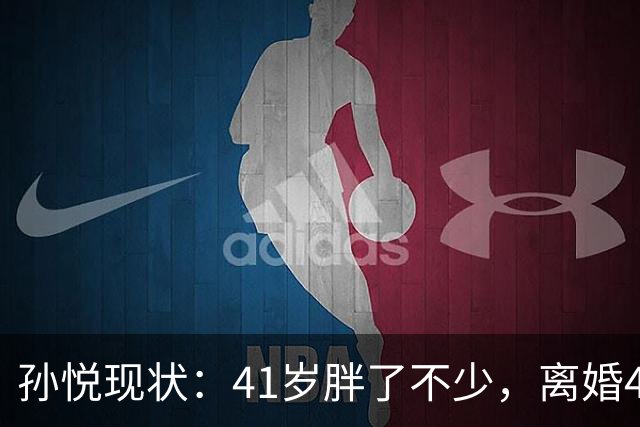 孙悦现状：41岁胖了不少，离婚4年还是单身，一双儿女越长越像他
